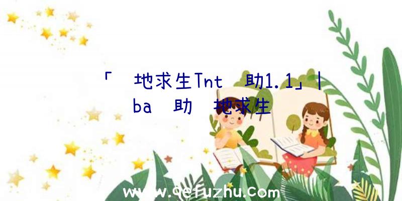 「绝地求生Tnt辅助1.1」|ba辅助绝地求生